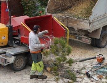 Broyage des branches au broyeur avec évacuation directe en benne