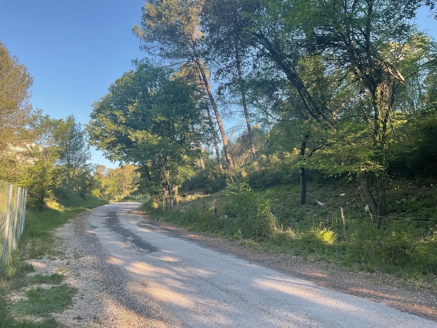Abords de voirie débroussaillés, strate basse éliminée et arbres conservés espacés