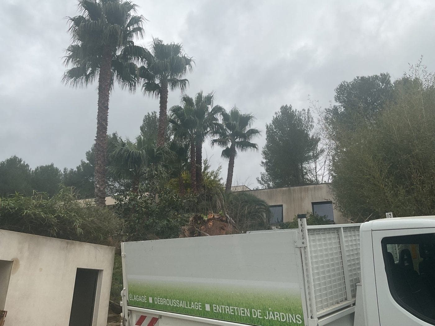 Palmiers et massif en cours de remise en état, camion benne Majuro chargé de déchets verts
