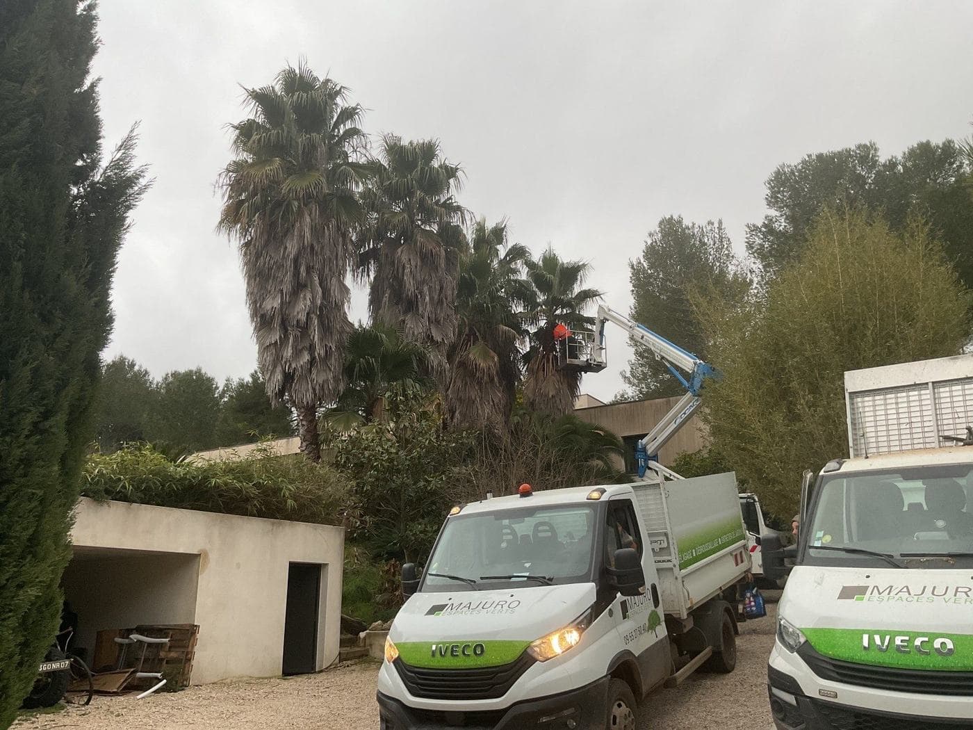 Nacelle Majuro déployée dans un bouquet de palmiers, deux camions de l’entreprise au pied