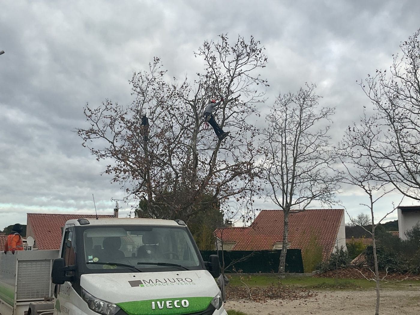 Camion benne Majuro stationné au pied des platanes de la placette pendant le chantier de taille