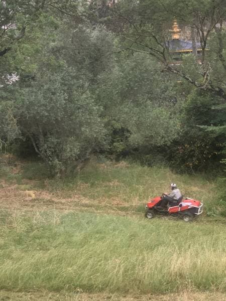 Kart de débroussaillage Majuro fauchant les herbes hautes entre les arbres