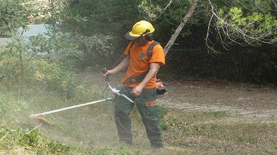 Débroussailleur Majuro casqué au travail dans les herbes hautes