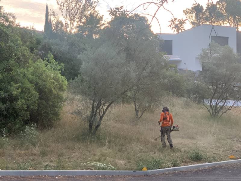 Débroussaillage manuel d’une parcelle en herbes hautes au pied des oliviers, en zone résidentielle