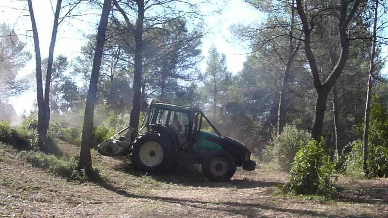 Tracteur équipé d’un broyeur débroussaillant le sous-bois d’une pinède