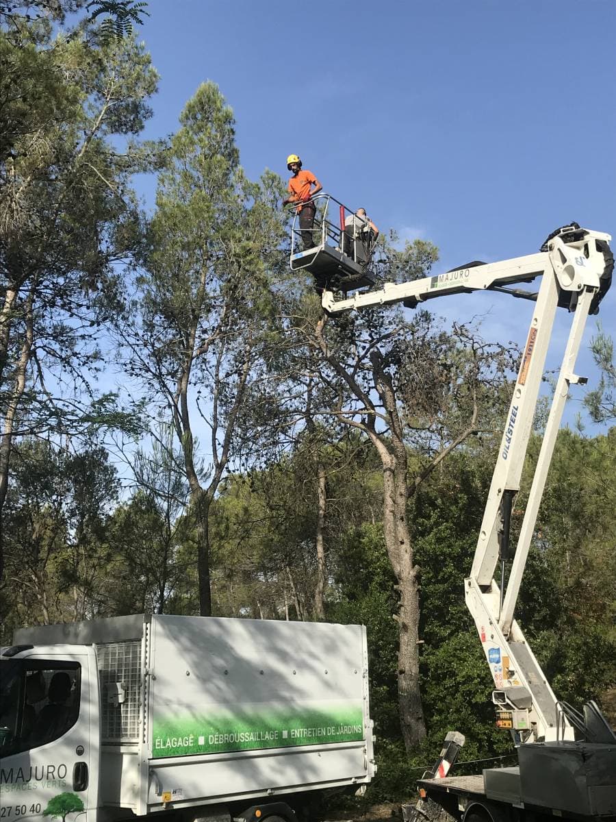 Camion Majuro et nacelle déployée pour l’élagage de pins à Saint-Mathieu-de-Tréviers