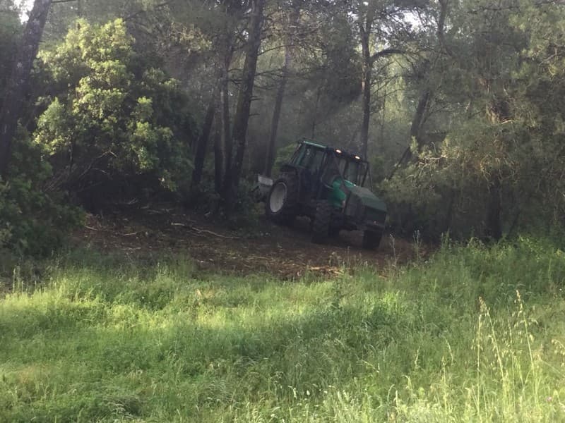 Tracteur et broyeur ouvrant un sous-bois dense en lisière de pinède